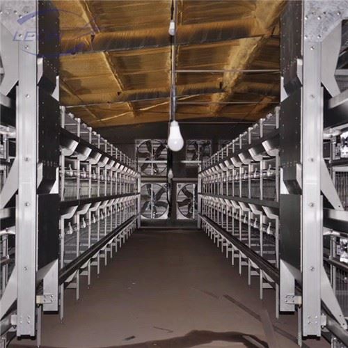 Multi-level H Type Broiler House System