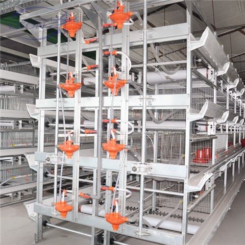 Multi-level H Type Broiler House System