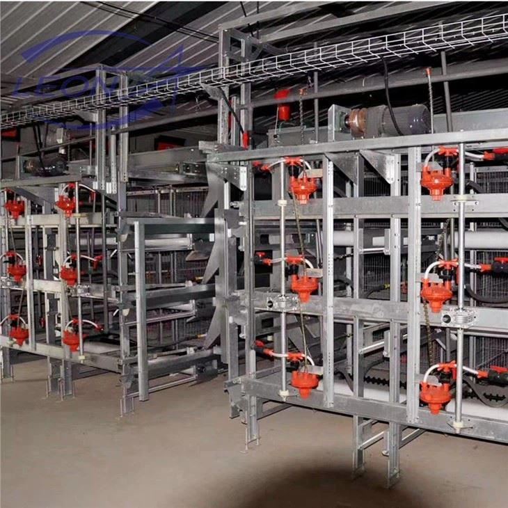 Sturdy H-Type Layer Cage Sturdy H-Type Layer Cage