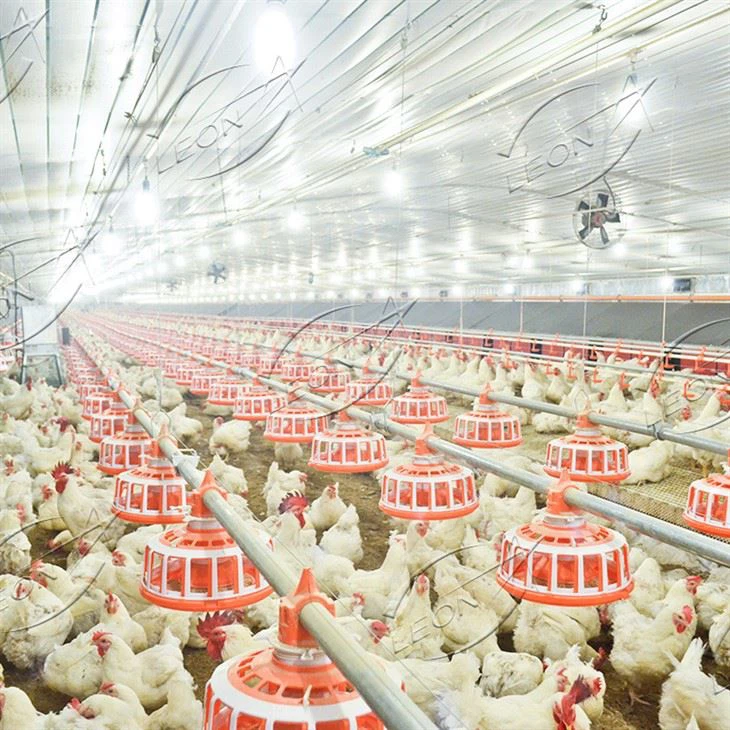 Automatic Breeder Chain and Pan Feeding System