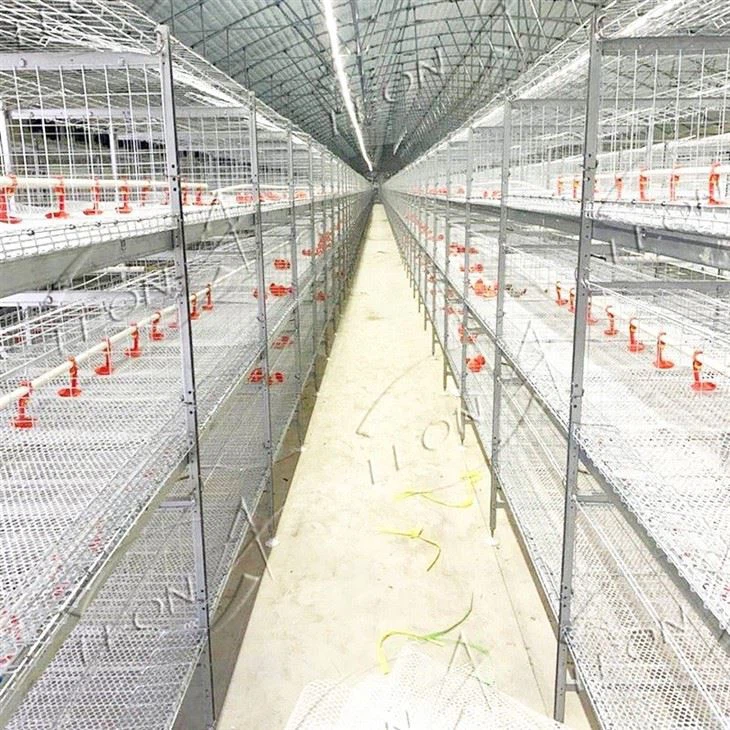 Broiler Cage Raising System