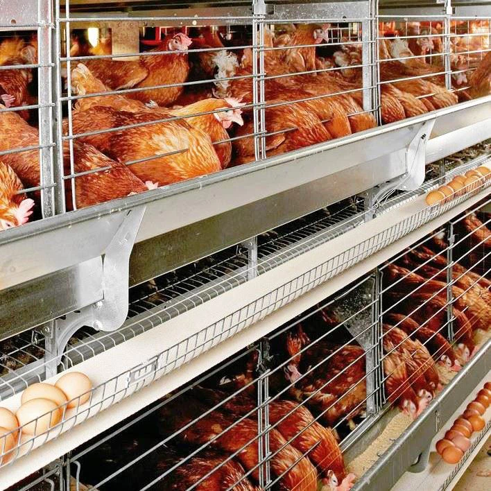 H Type Layer Cage System