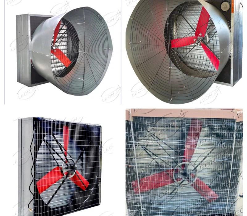 product-800-700
